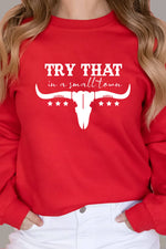 Top Avenue - Try That In a Small Town, Rodeo, Unisex Crew Neck Sweatshirt: Charcoal / M / Graphic Sweatshirt