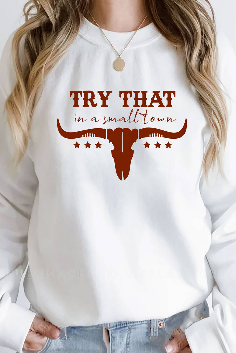 Top Avenue - Try That In a Small Town, Rodeo, Unisex Crew Neck Sweatshirt: Charcoal / M / Graphic Sweatshirt