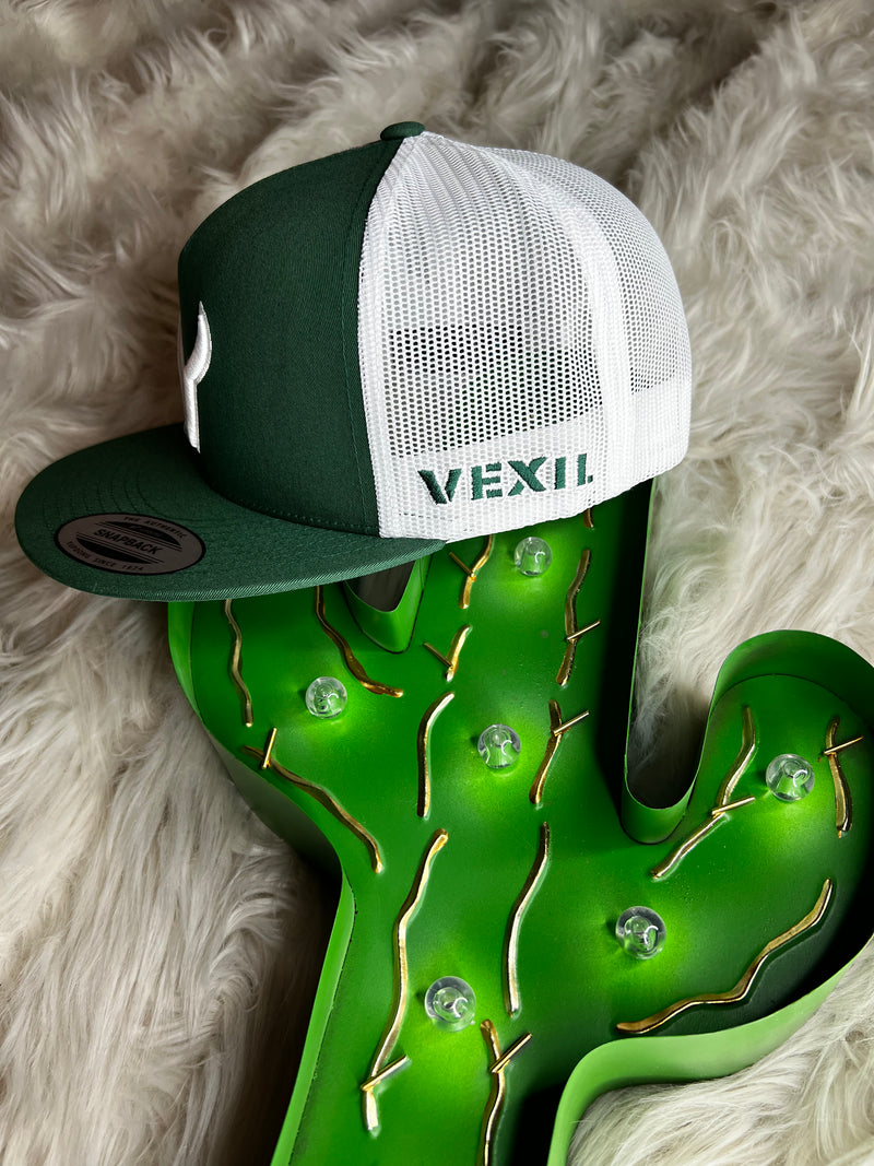 Vexel Icon Green Hat
